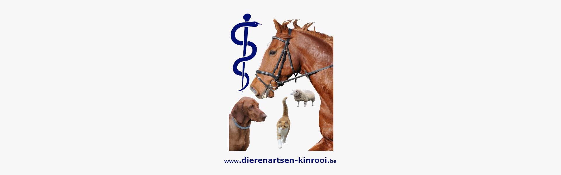 DAP Kinroyderveld