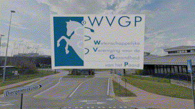 wvgpflagsmall